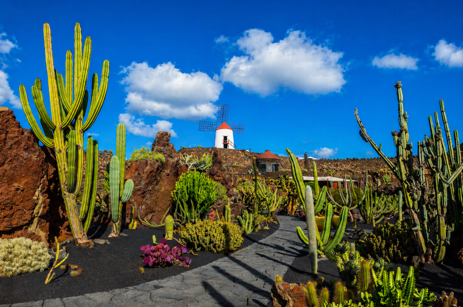 Jardín de Cactus by César Manrique