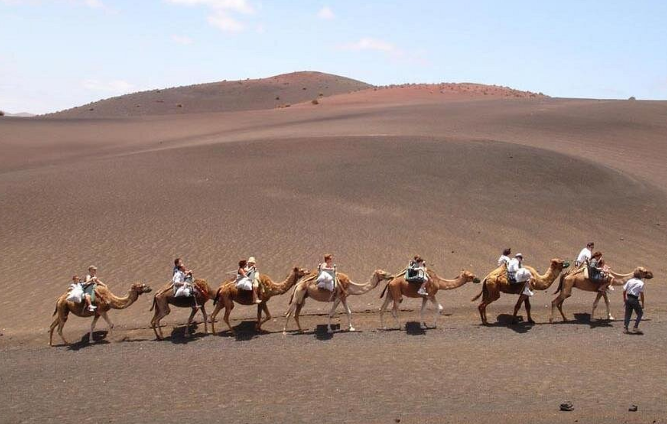 Tourists riding camels across the volcanic dunes of Timanfaya National Park in Lanzarote