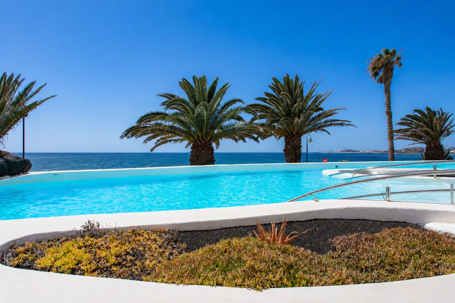 Infinity-edge pool framed by palms